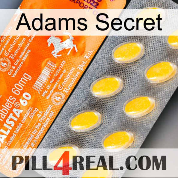 Adams Secret new05.jpg